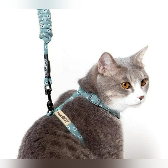 SOLD- Large Cat Harness Leash Combo - Picture 5 of 8